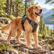 Myvorlena™ FlexTrail Adjustable Comfort Harness