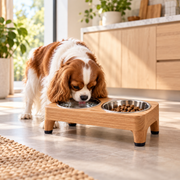 Myvorlena™ MeadowDuo Elevated Bowl Set