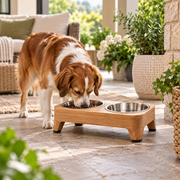 Myvorlena™ MeadowDuo Elevated Bowl Set