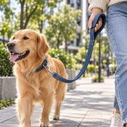 Myvorlena™ RiverLoop Padded Everyday Leash